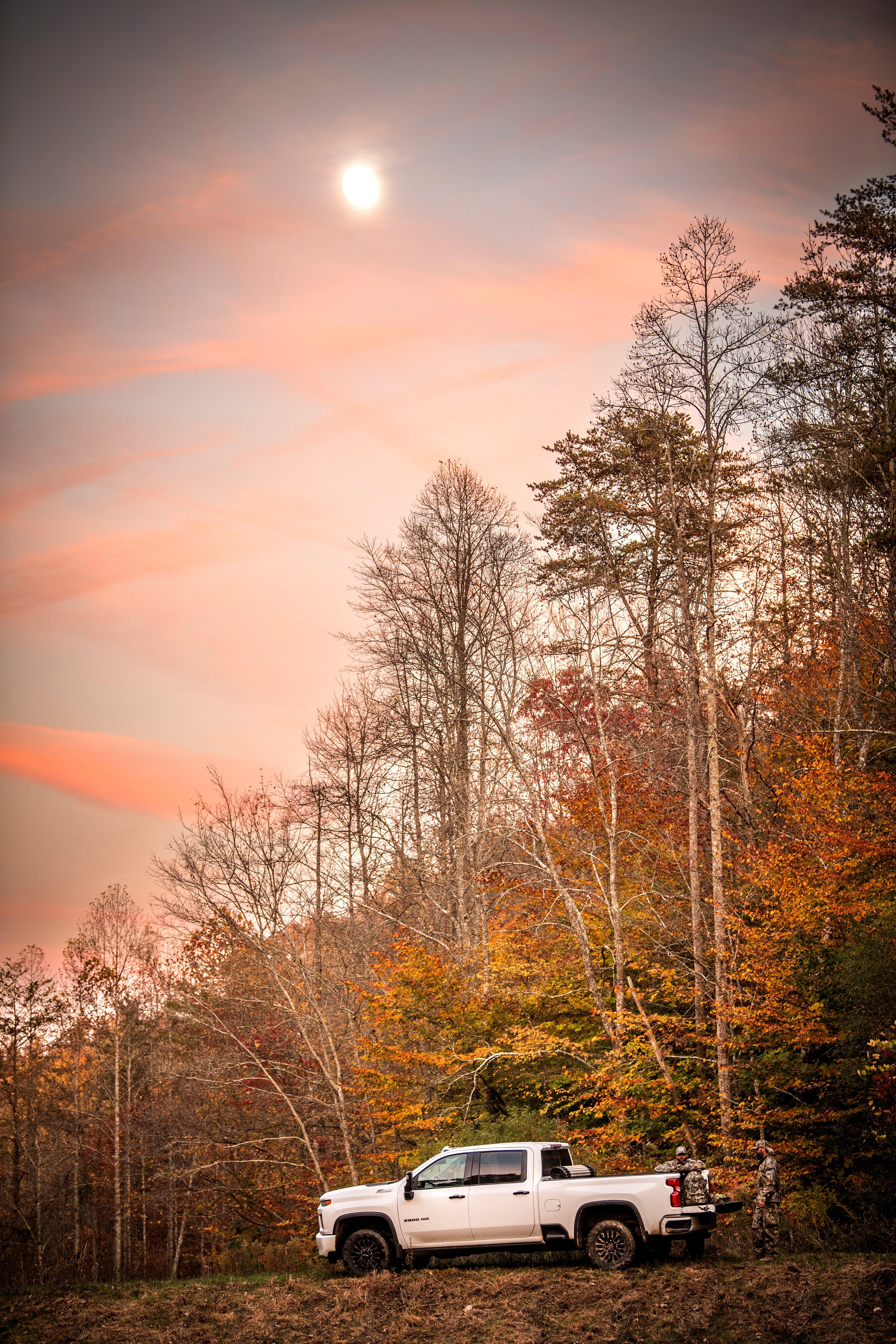 Image: deer_days_4 copy